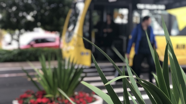 Leaves of plant in focus at front. Man in blue getting off yellow bus and crossing path with travel bag in out of focus background