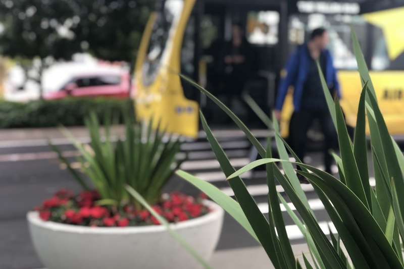 Leaves of plant in focus at front. Man in blue getting off yellow bus and crossing path with travel bag in out of focus background