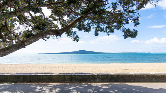 View of Rangitoto across water with pohutukawa tree overhanging on left.