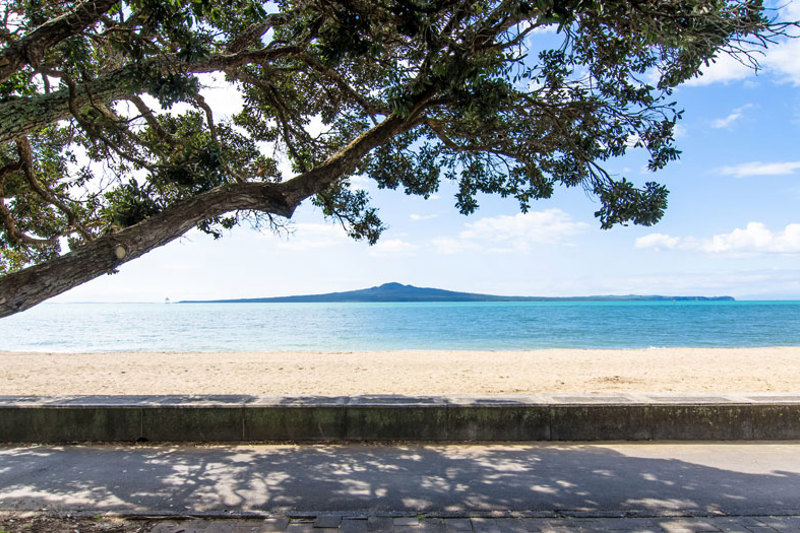 View of Rangitoto across water with pohutukawa tree overhanging on left.