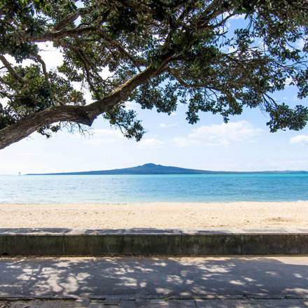 View of Rangitoto across water with pohutukawa tree overhanging on left.