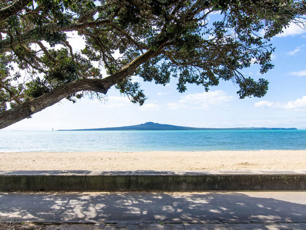 View of Rangitoto across water with pohutukawa tree overhanging on left.
