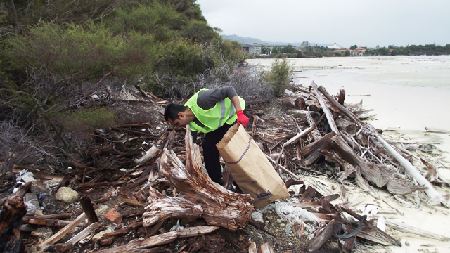 Person removing rubbish at Lake outside of Sudima Rotorua