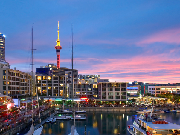 Auckland city skyline with the Sky Tower standing prominently above the central business district.
