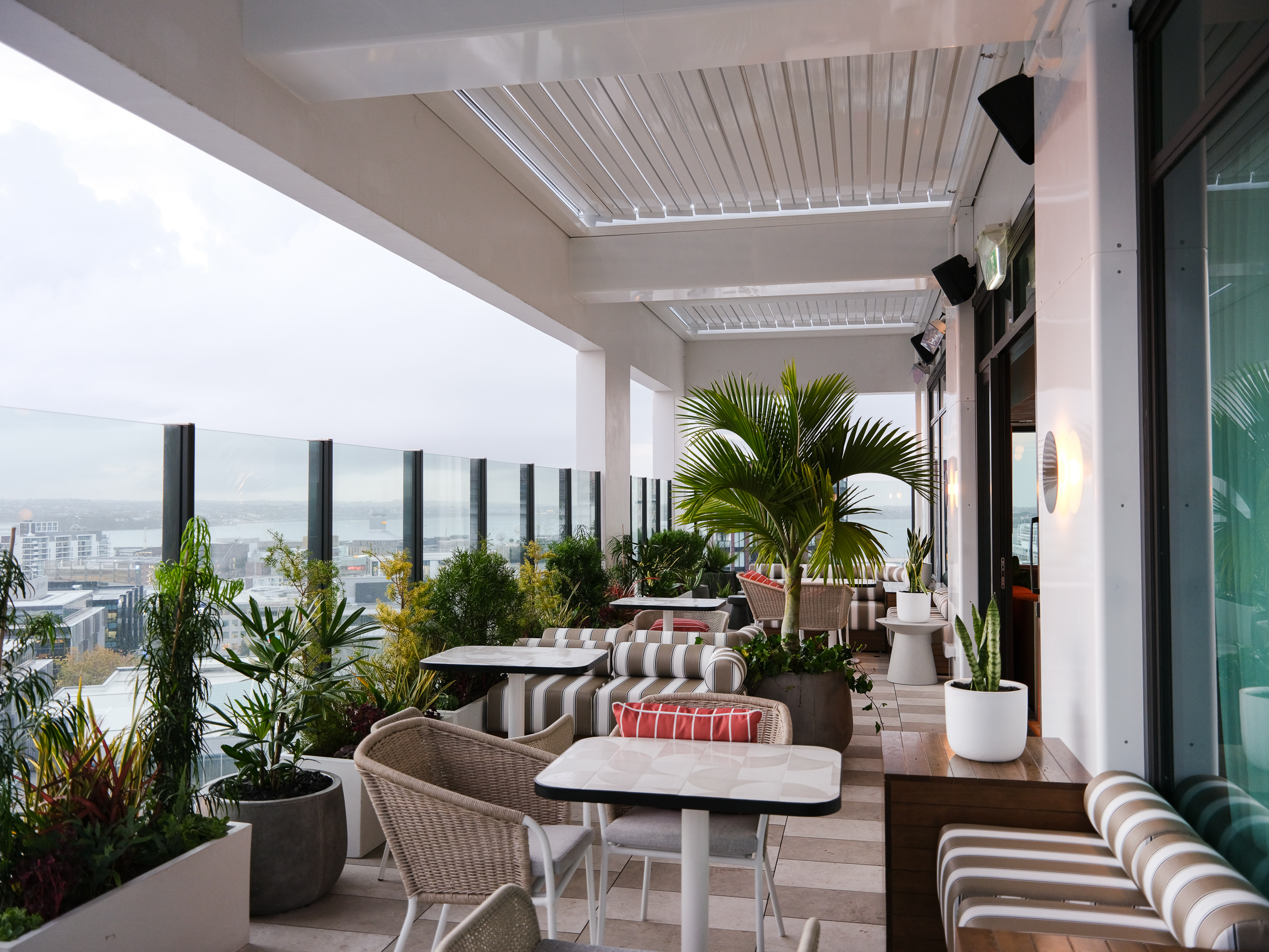 Sunset Rooftop bar with view of Auckland Harbour. Relaxed seating with couches, sofas, chairs and palm trees and greenery.